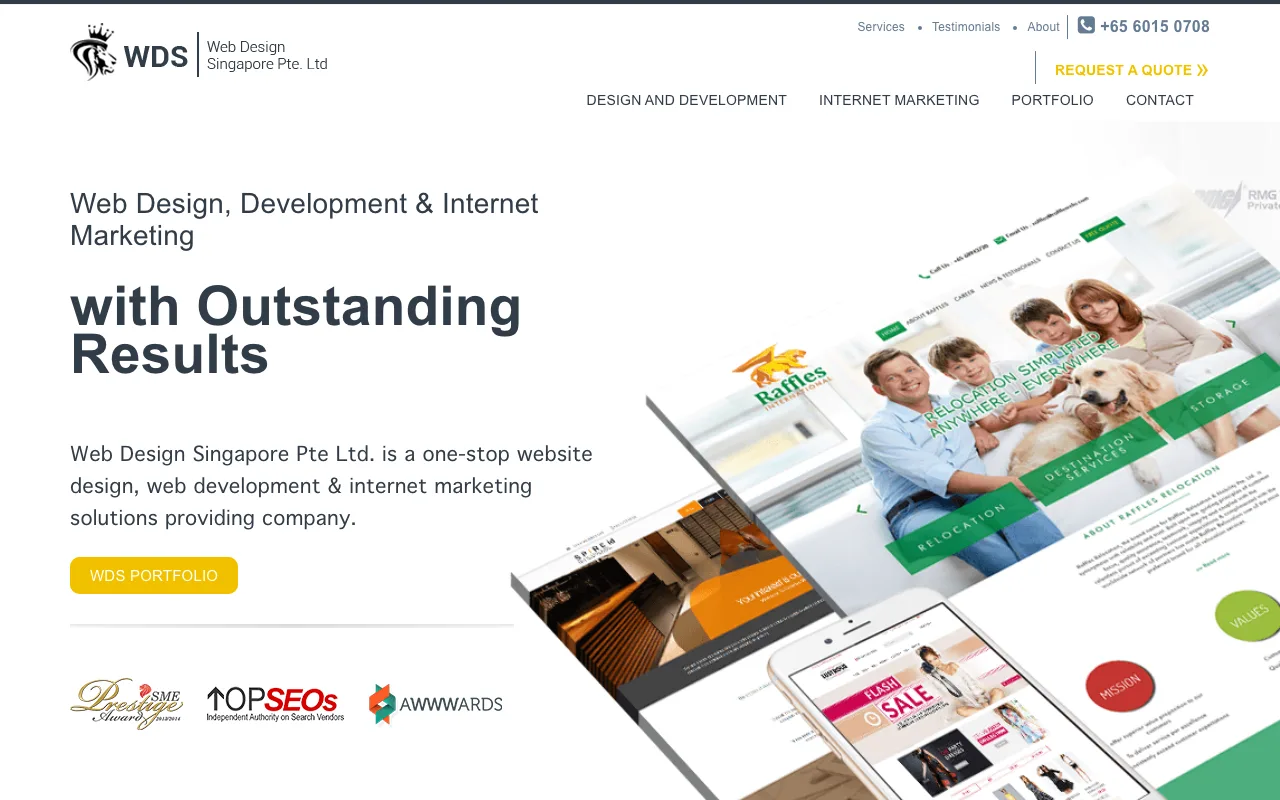 Web Design Singapore (WDS)